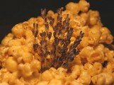Lavender Caramel Corn